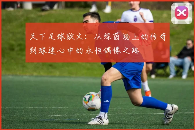 天下足球欧文：从绿茵场上的传奇到球迷心中的永恒偶像之路