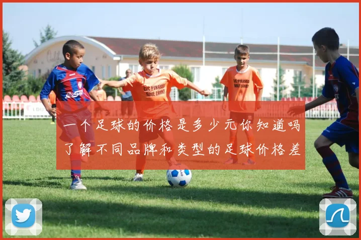 一个足球的价格是多少元你知道吗了解不同品牌和类型的足球价格差异