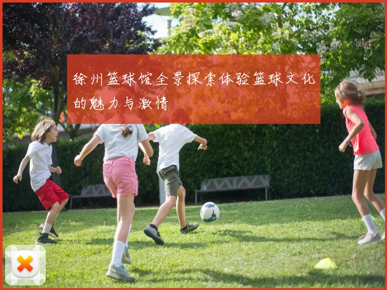 徐州篮球馆全景探索体验篮球文化的魅力与激情