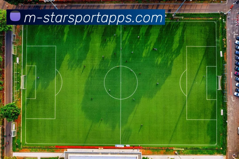 星空体育服务体系